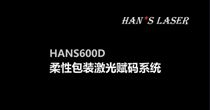 HANS600D柔性包装激光赋码系统